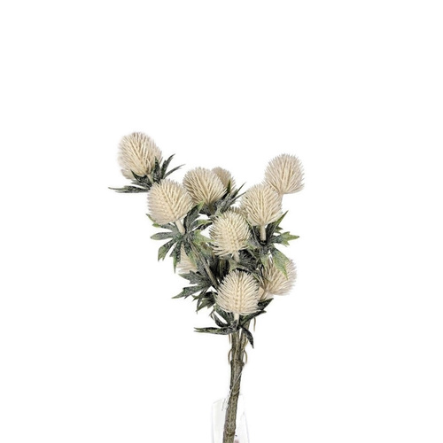 Thistle Bush HF1240B-CRM