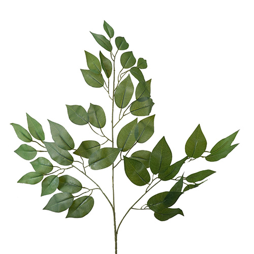 Ficus Spray HF1258GRN
