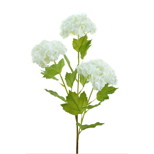 Snowball Hydrangea HF1264CRM