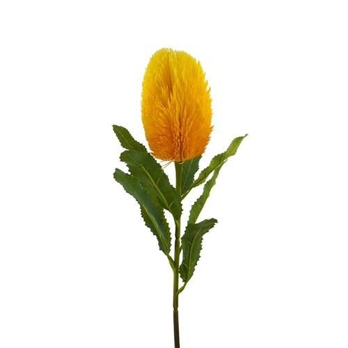 Banksia HF1277YEL