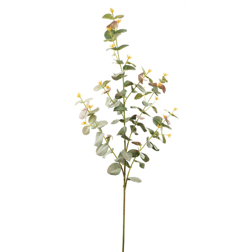 Eucalyptus Spray HF1280R-GRN