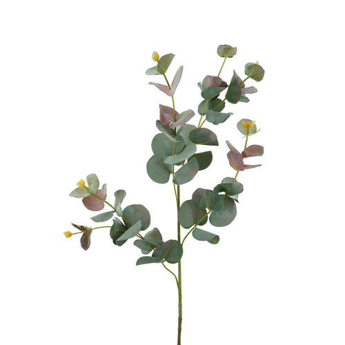Eucalyptus Stem HF1273R-GRN