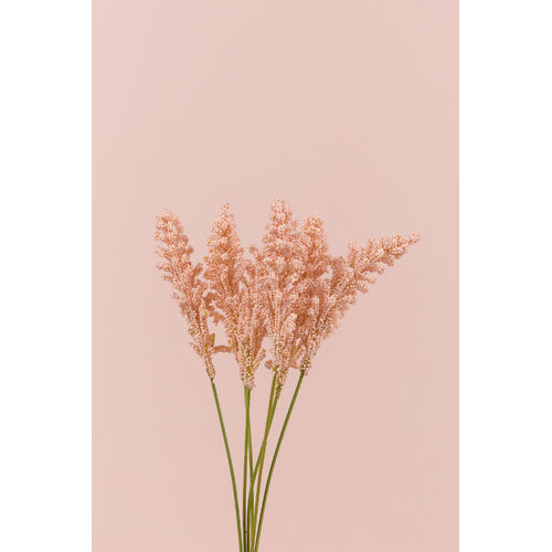 Mini Reed Bouquet HF1338PNK