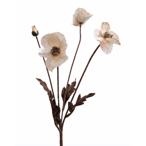 Poppy Spray HF1393-LBRN