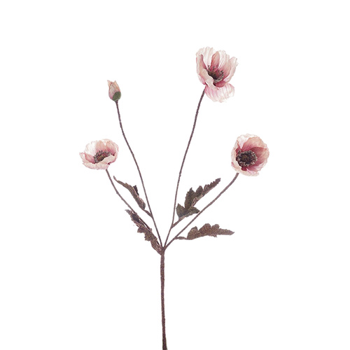 Autumn Poppy HF1393L-PNK