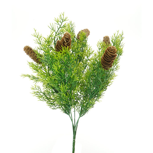 Spruce Pine Christmas Bush HF1417GRN