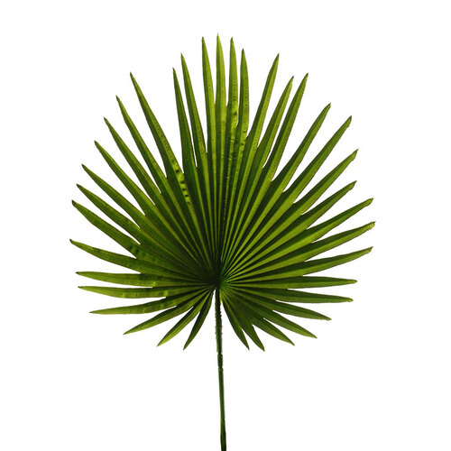 Faux Large Palm Leaf HF1434-GRN