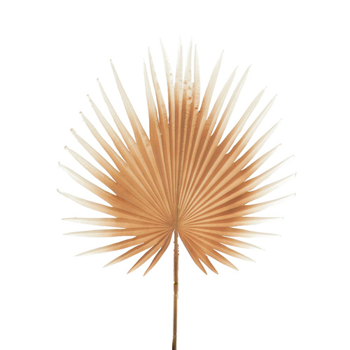Faux Large Palm Leaf HF1434-LBRN