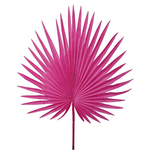 Big Palm Leaf HF1434H-PNK