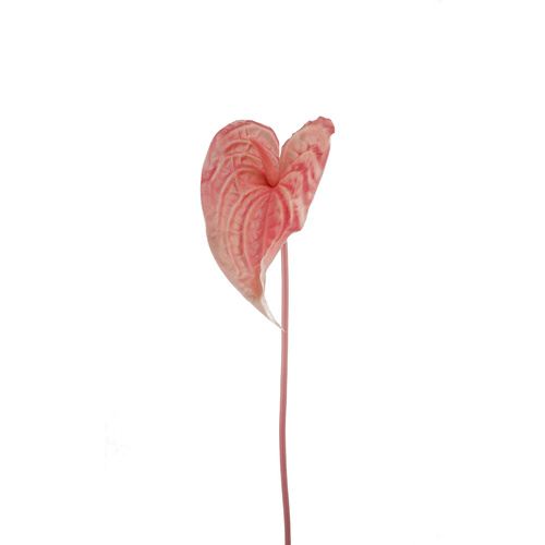 Real Touch Small Anthurium HF1457CO-S