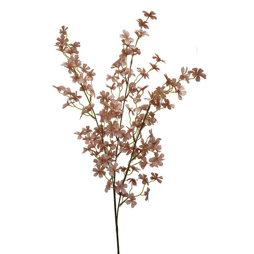 Tall Blossom HF1463PNK