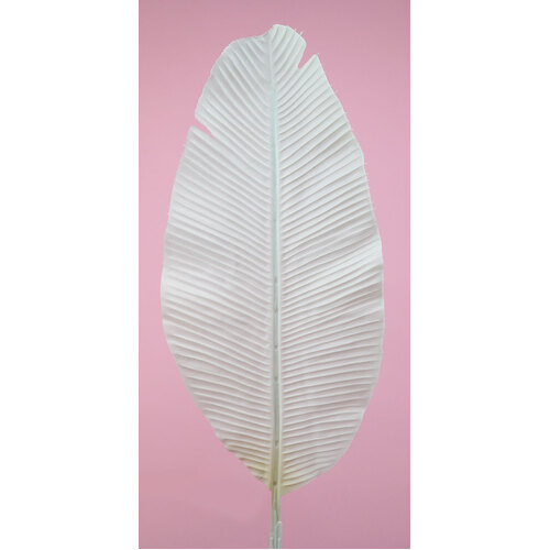 Banana Leaf HF1468CRM