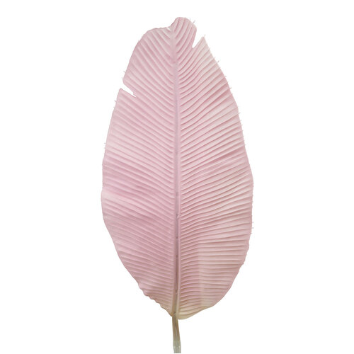 Banana Leaf HF1468PNK