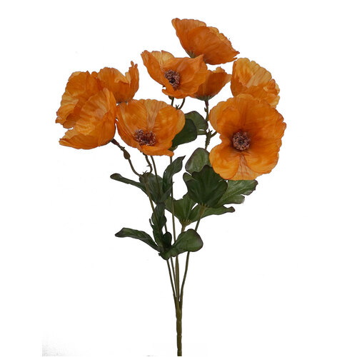Poppy Small bunch HF1497ORG