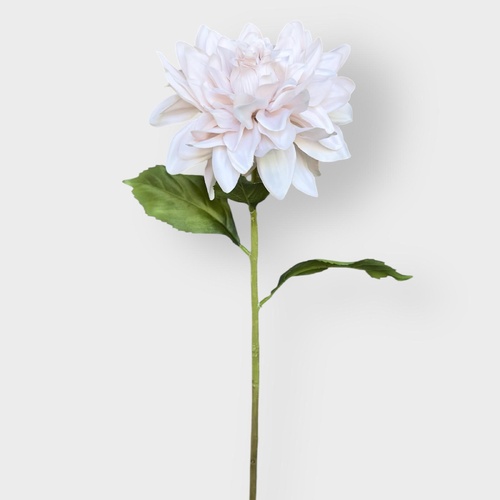 Dahlia stem HF1533L-PNK