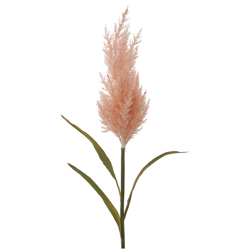 Pampas Grass HF1550PNK