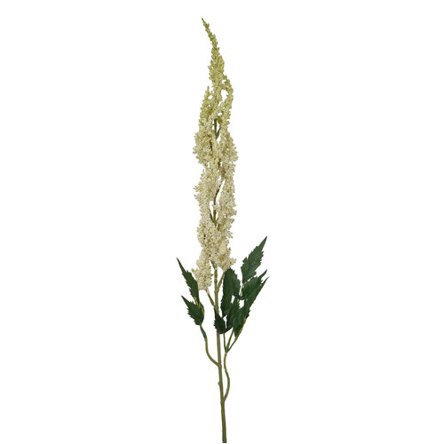 RT Astilbe HF1553C-GRN