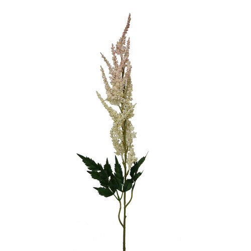 RT Astilbe HF1553C-PNK