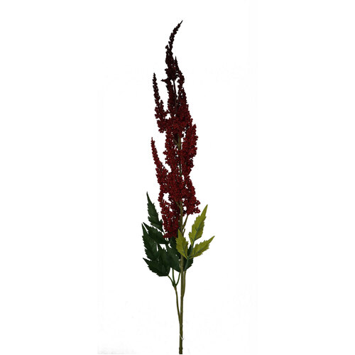 RT Astilbe HF1553RED