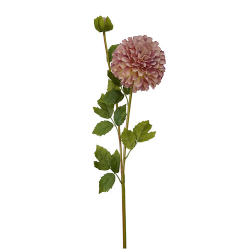 Dahlia Stem HF1554PUR