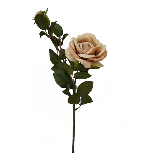 2H Open Rose HF1557BRN