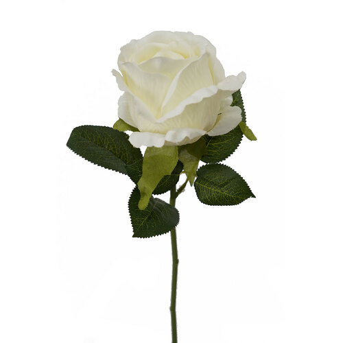 Single Rose HF1562 CRM