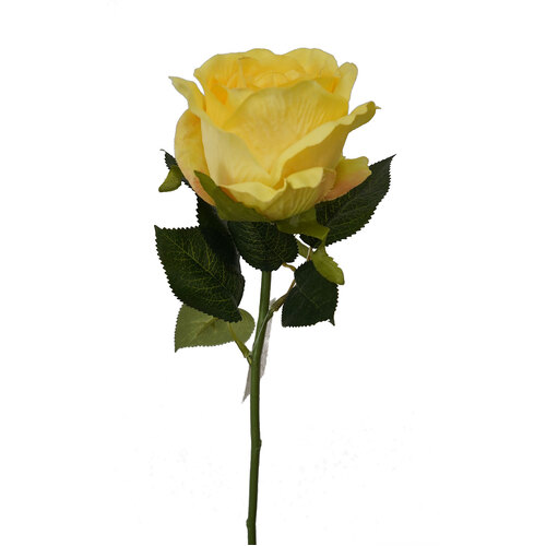 Single Rose HF1562-YEL