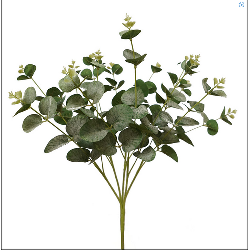 Eucalyptus Bush HF1582GRN