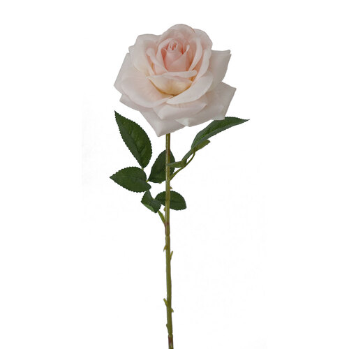 Velvet Rose HF1585SPNK