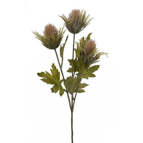 Thistle HF1590BRN