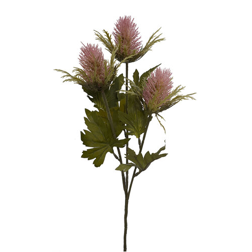 Thistle HF1590PNK