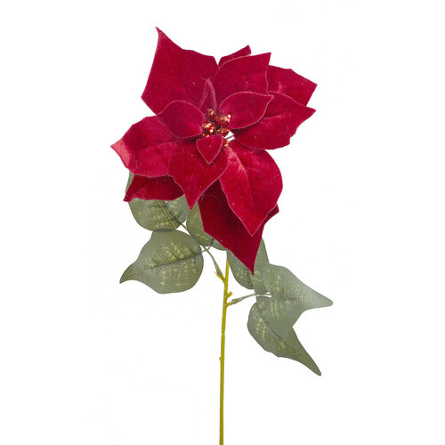 Velvet Poinsettia HF1609RED