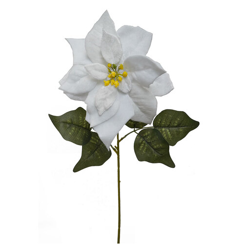 Velvet Poinsettia HF1609WHT