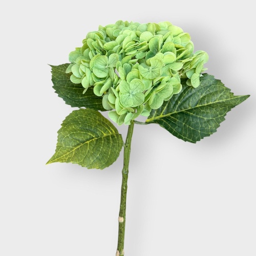 RT Hydrangea Stem HF1713GRN