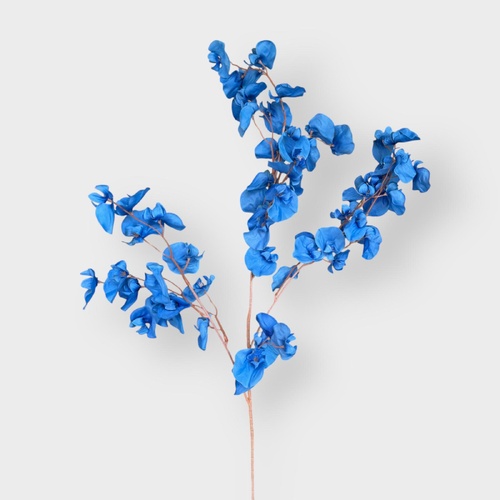 Sweet Pea Large Spray HF1728BLU