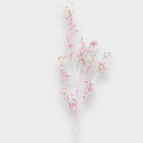 Tall Baby's Breath Spray HF1733PNK