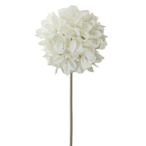 Hydrangea Stem 65cm CRM