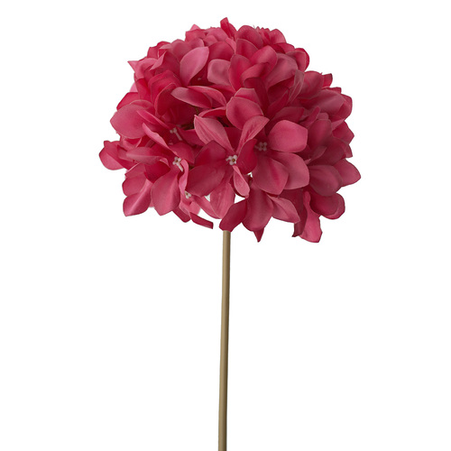Hydrangea Stem 65cm hot