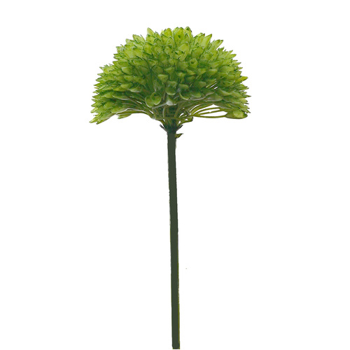 Perennial stem HF1747GRN