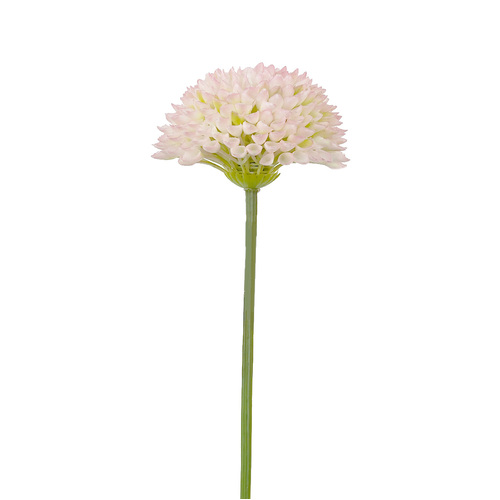 Perennial stem HF1747PNK