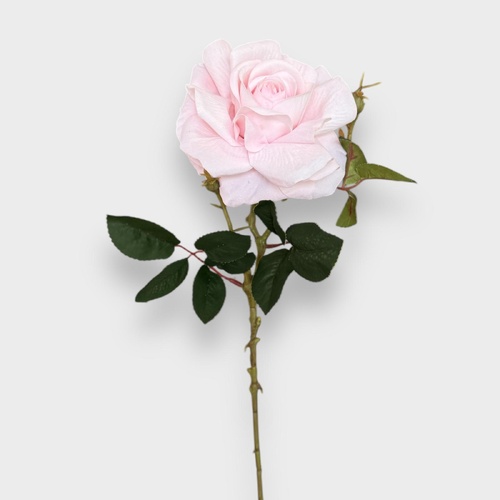 Velvet Rose HF1751PNK