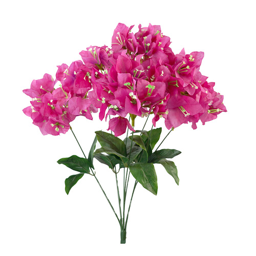Bougainvillea Bunch HF1755PNK