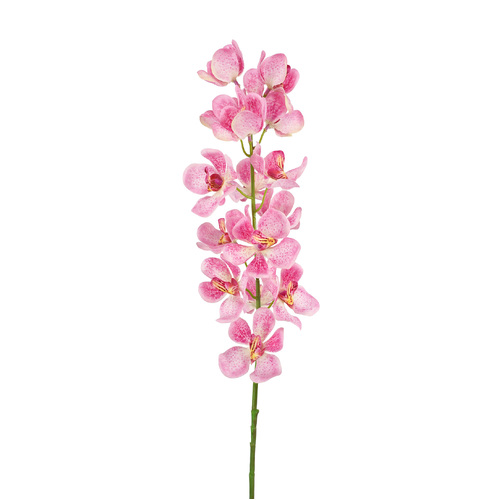 Vanda Orchids Pink HF1761PNK