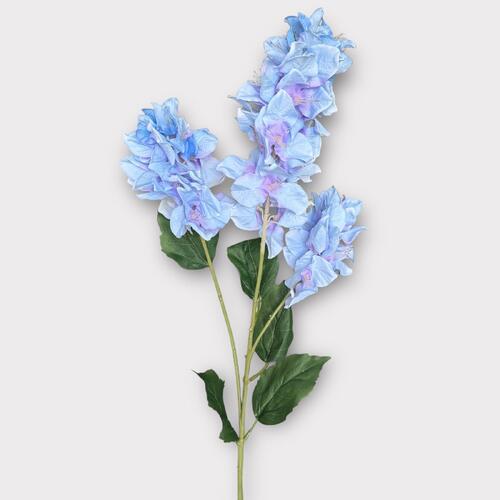 Bougainvillea HF1765BLU