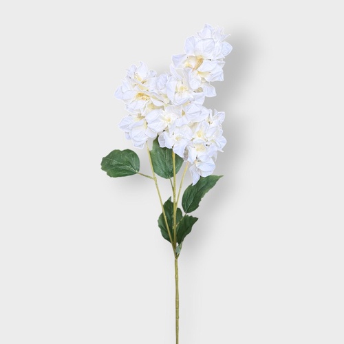 Bougainvillea HF1765CRM