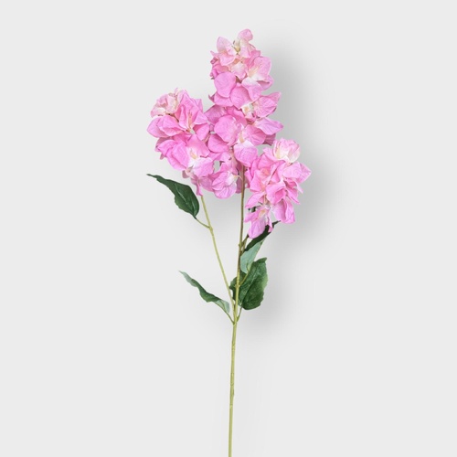 Bougainvillea HF1765PNK