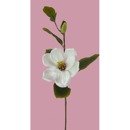 Magnolia HF1786CRM