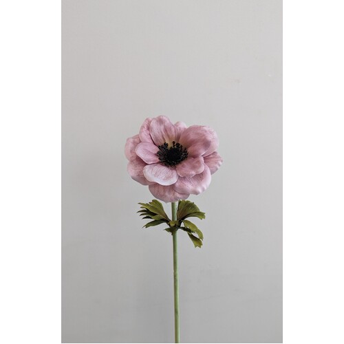 ANEMONE HF1788DUS