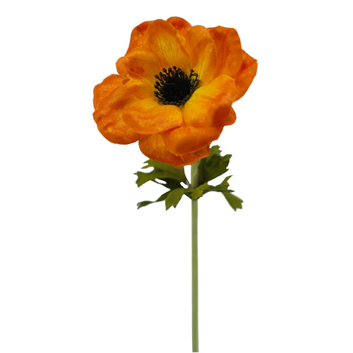 ANEMONE HF1788ORG