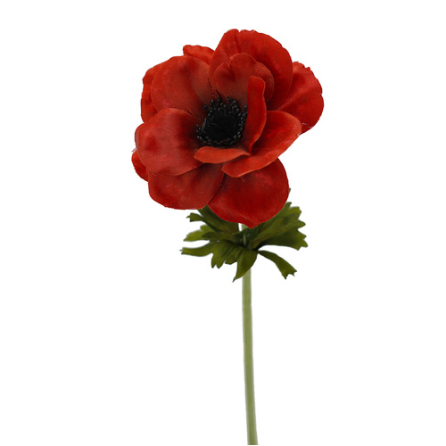 ANEMONE HF1788RED